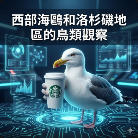 西部海鷗和洛杉磯地區的鳥類觀察